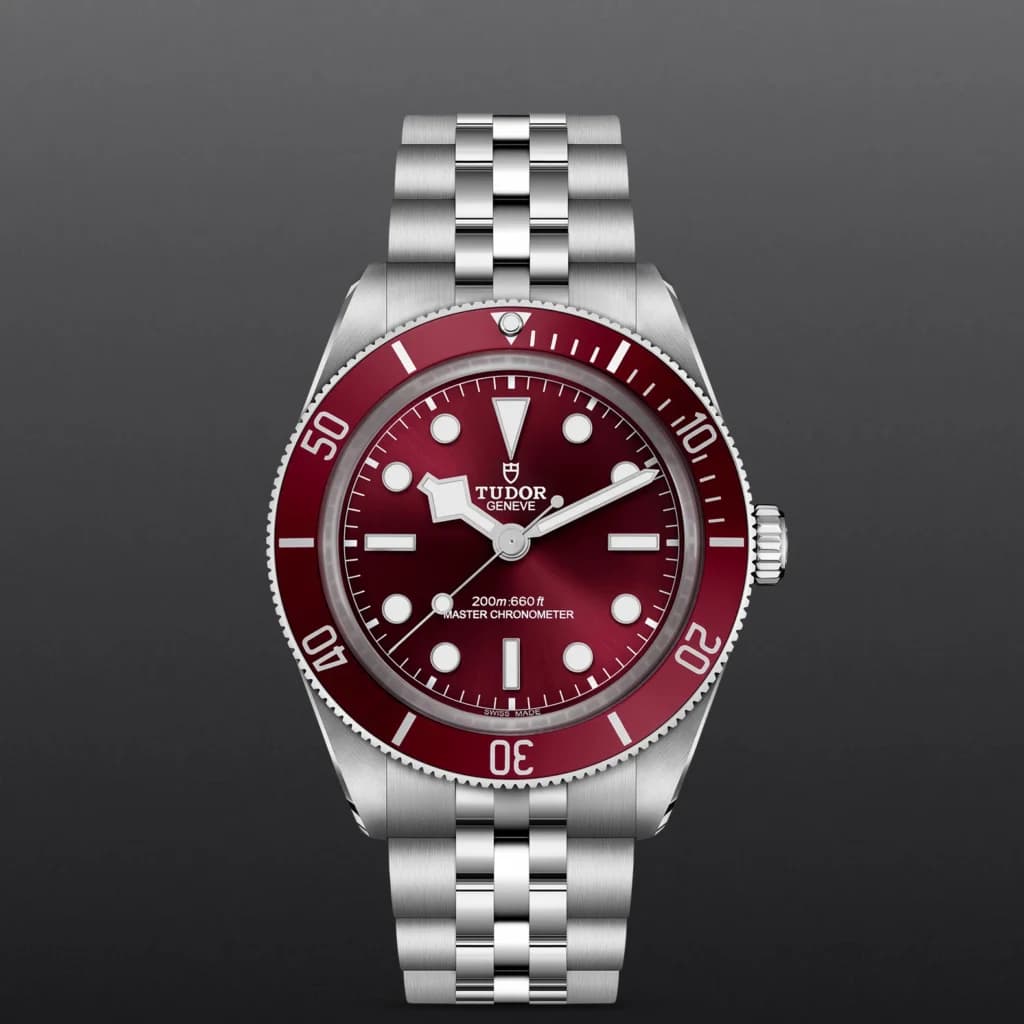 Tudor BLACK BAY 58